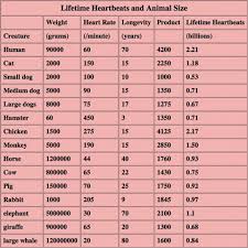 Lifetime Heartbeats For Every Living Creature Average Up To