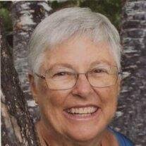 Susan Elizabeth Beck Obituary