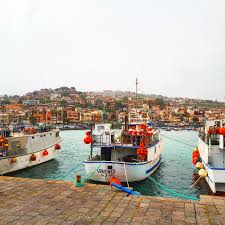 Aci Castello Aci Trezza Things To Do What To See Sicily Italy Marina Boats Sicily Summer Vacation Destinations Sicily Italy
