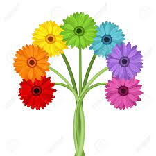 Bouquet Of Colorful Gerbera Flowers Vector Illustration Gerberas Illustration Ilustracion Vectorial