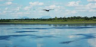 Note are you an astrologer ? Hesaraghatta Lake Lakes In Bangalore Bangalore