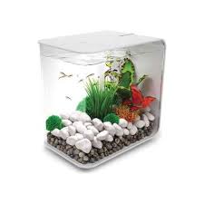 They are all big enough for your betta to be happy, they all have some sort of substrate, and they all one major element of an attractive betta fish tank is the use of live plants. 15 Best Betta Fish Tanks The Ultimate List 2020 Heavy Com