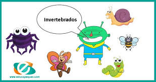Resultado de imagen de invertebrados