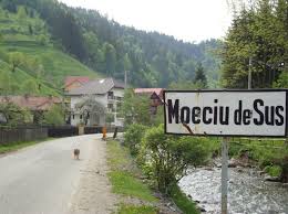 Cele mai frumoase femei din moeciu de jos. Pensiunea Bliss Moieciu De Sus 3 Cazare In Moieciu De Sus