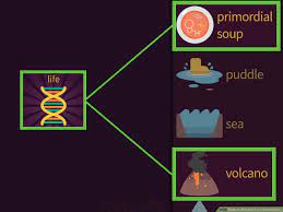 Find out how to make steel! How To Make Life In Little Alchemy With Pictures Wikihow