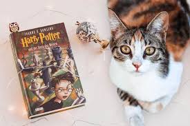 For many people the idea of living your days as an enormous cat would, in fact, be hell. 77 Harry Potter Cat Names Great Name Ideas Find Cat Names