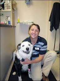 Because the treatment is unique to the pet, the cost varies. Chemotherapy For Dogs What To Expect Whole Dog Journal