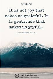 Effort And Courage Are Not Enough Without Purpose And Direction Meaning It Is Not Joy That Makes Us Grateful It Is Gratitude That Makes Us Joyful Wisdom Quotes Motivational Quotes What Motivates Me