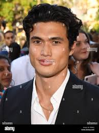 S melton hi-res stock photography and images