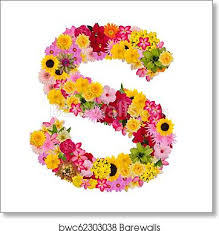 Download s alphabet stock photos. Letter S Alphabet With Flower Abc Concept Type As Logo Isolated On White Background With Clipping Path Art Print Barewalls Posters Prints Bwc62303038