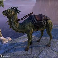 The imperial white horse is just one of the exclusive bonuses you you will have to pay by crowns in order to buy mount there. Camel Lizard Steed Elder Scrolls Online Housing