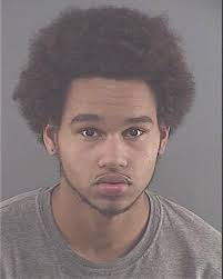 ᐅ Illinois Criminal Records 2009-2025