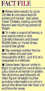Most pest control services will charge extra for pest inspections and some might not even include the cost in the quote they offer. 390 Bee Hive Plans Ideas In 2021 Bee Hive Plans Bee Hive Bee
