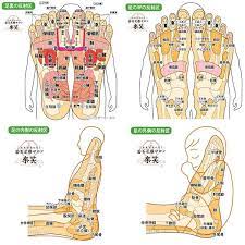 若石足療サロン楽笑さんはinstagramを利用しています どうして３ヶ月の足もみの継続が大切なんでしょうか それは 新陳代謝を促進させ人間の細胞や血液は３ヶ月 ４ヶ月で入れ替わると言われているからです 血液浄化作用は 活性化細胞の入れ替えと同時に進行し