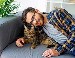 Meine Katze Ist Verschwunden Was Muss Ich Jetzt Tun Vs