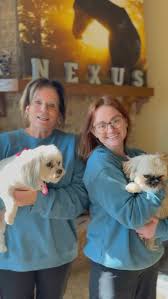 Meet the Team: Rita Hoch, CEO & Founder of Nexus Animals 💙 Rita Hoch  founded Nexus Equine in 2016 with a passionate mission to reduce the number  of at-risk horses through education,