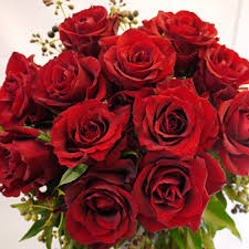 Rote rosen bei das erste verpasst? Rosen Rosenstrauss Rote Rosen Blumenlieferung In Kiel Und Umgebung
