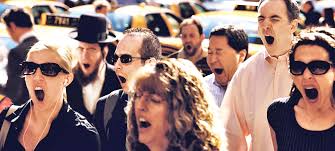 Image result for Contagious yawn images