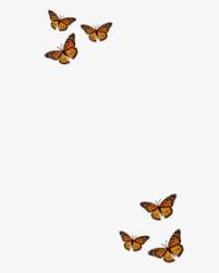 Discover more aesthetic purple, blue butterfly, butterfly lockscreen, iphone wallpaper, monarch butterfly wallpapers. Filter Butterfly Orange Black Aesthetic Monarch Butterfly Hd Png Download Transparent Png Image Pngitem