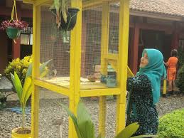 Berkenaan dengan sudah dilaksanakannya aktivitas pengembangan sekolah model serta pola pengimbasan program penjaminan kualitas pembelajaran di sekolah sma n 2. Lomba Sekolah Sehat Sd Negeri Kedondong