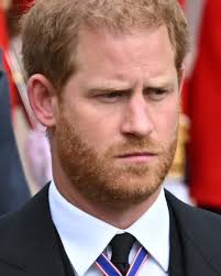 Body Language Expert Reveals King Charles' Hidden Message About Meghan And  Harry