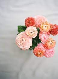 Pin On Pink Wedding