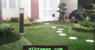 Memiliki tektur yg lembut hijau dan halus menanam rumput jepang harus pada ruang terbuka adar rumput dapat. Harga Rumput Gajah Mini Per M2 Tukang Taman Serpong Tlp 081380548055