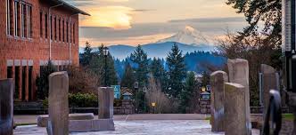 News from tv station web sites. One Department Two Locations Sociology News Washington State University