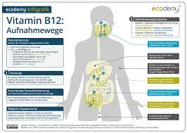 Da krebszellen ebenfalls rasch wachsen und damit durch vitamin b12 und folsäure in ihrer vermehrung gefördert werden könnten, wurde die anwendung dieser vitamine bei krebs in der vergangenheit oft kontrovers diskutiert bzw. Hypercobalaminamie Mogliche Vitamin B12 Nebenwirkungen