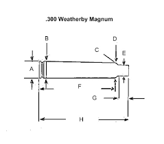 300 weatherby magnum