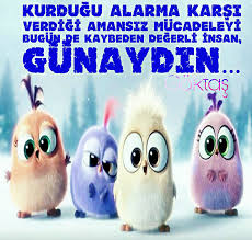 Irfan Adli Kullanicinin Turkiyem Panosundaki Pin Angry Birds Animasyon Hayvanlar
