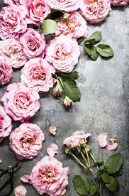 Rosenblutensirup Ganz Einfach Selber Machen Dee S Kuche Rezept Selber Machen Fruchtsirup Rosen