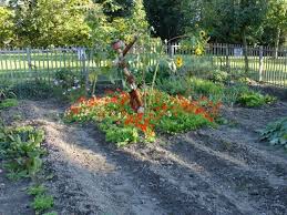 Maybe you would like to learn more about one of these? Designing A Vegetable Garden Pretty Vegetable Garden Ideas
