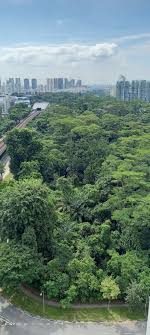 Dover forest a.k.a ulu pandan estate (source: 33 Hectare Dover Forest To Be Cleared For Housing Projects After Being Left Untouched For Over 40 Years Mothership Sg News From Singapore Asia And Around The World