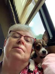 Looking for a snuggle buddy? 🐶💕"