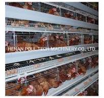 Hot Sale Farming Used Battery Chicken Layer Cage for Sale