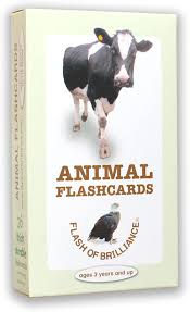 Amazon Com Flash Of Brilliance Animal Flash Cards With Fun Facts And Spanish And French Translations For Each Animal Toys Games