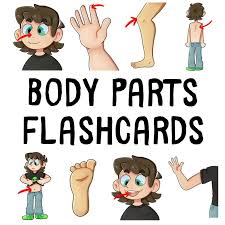 Do not use all the activities at the same time. Esl Printable Flashcard Set Pdf Body Parts Tefl Lemon Free Esl Lesson Ideas And Great Content For Tefl Teachers