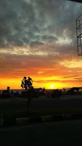  Amel Ameldamutiasabrini Profil Pinterest