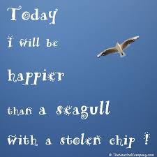 The most hilarious movie quotes of all time. Funny Quotes About Birds On The Beach Summer Quotes 101 Of The Best Short Summertime Quotes Dogtrainingobedienceschool Com