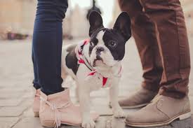 Dogs are also able to use this trail but must be kept on leash. College Town Apartments Apartment Homes In Tucson Az