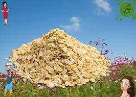 فوائد شرب الرجل منيه : ÙÙˆØ§Ø¦Ø¯ Ø´Ø±Ø¨ Ø§Ù„Ø±Ø¬Ù„ Ù…Ù†ÙŠÙ‡ ÙØ§Ø¦Ø¯Ø© Ø§Ù„Ø³Ø§Ø¦Ù„ Ø§Ù„Ù…Ù†ÙˆÙŠ Ù„Ù„Ø¨Ø´Ø±Ø© ÙÙˆØ§Ø¦Ø¯ Ø§Ù„Ù…Ù†ÙŠ Ù„Ø¬Ø³Ù… Ø§Ù„Ù…Ø±Ø§Ø© ÙÙˆØ§Ø¦Ø¯ Ø´Ø±Ø¨ Ø§Ù„Ø±Ø¬Ù„ Ù…Ù†ÙŠÙ‡ Fredhuckn