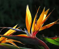 Pin On Nature