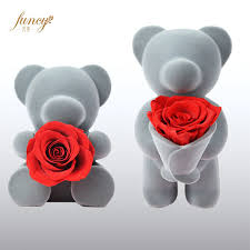 Love flower stock photos and images. China Beautiful Love Gift Teddy Rose Bear Grey Gift Love China Bear Rose And Flower Rose Bear Price