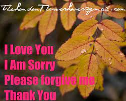 I hope i did justice to these two wonderfully complex characters. I Love You I Am Sorry Please Forgive Me Thank You Flowers The London Flower Lover