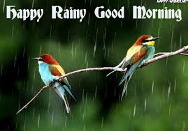 We did not find results for: Good Morning Rainy Images With Birds Beautiful Rainy Good Morning 1024x716 Wallpaper Teahub Io