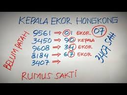 Monyet/anjing 2d paten bb : Rumus Kepala Ekor Hk Prediksi Hk 1 Maret 2021 Bocoran Hk Jitu Youtube In 2021 Info It Works The Creator