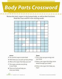 In this biology worksheet, learners answer 14 questions related to the skeletal system using an interactive crossword puzzle. Body Parts Crossword Worksheet Education Com