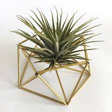 Diy Himmeli Table Planter Mars Airplants Https Www Livingdesign Be Nl Assortiment Airplants Planter Table Diy Table Planters