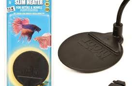 Hydor 7 5w Slim Heater For Bettas And Bowls 2 To 5 Gal H Https Www Amazon Com Dp B006jvq67k Ref Cm Sw R P Aquarium Heater Betta Fish Tank Betta Fish Bowl
